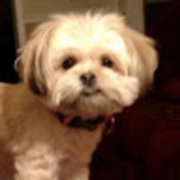 bonniewilson215